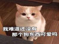 固原市原州区建斌废品回收站