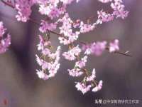 固原市原州区建斌废品回收站