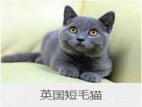 固原市原州区建斌废品回收站