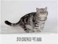 固原市原州区建斌废品回收站