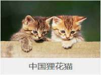 固原市原州区建斌废品回收站