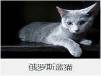 固原市原州区建斌废品回收站