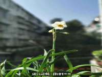 固原市原州区建斌废品回收站