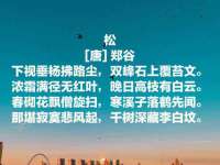 固原市原州区建斌废品回收站