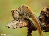 固原市原州区建斌废品回收站