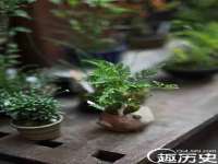 固原市原州区建斌废品回收站