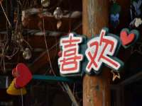 固原市原州区建斌废品回收站