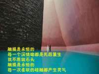 固原市原州区建斌废品回收站