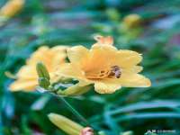 固原市原州区建斌废品回收站