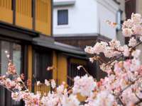 固原市原州区建斌废品回收站